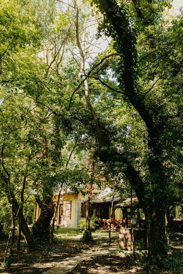 Forest House Palić Exterior foto
