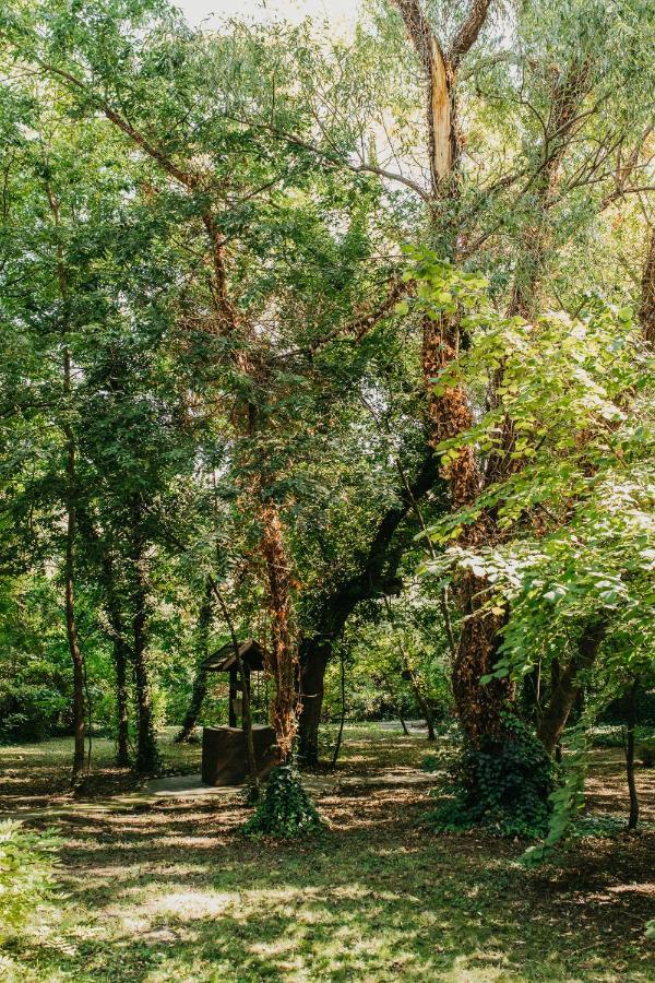 Forest House Palić Exterior foto